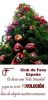Filename=CRISTMA_AF__2010_11_bajo.jpg
Filesize=122KB
Dimensions=494x1024
Date added=Dec 17, 2017 CRISTMA_AF__2010_11_bajo.jpg