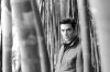 Filename=Forbes_6.jpg
Filesize=142KB
Dimensions=1024x683
Date added=Oct 25, 2013 Forbes_6.jpg