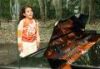 Filename=M03.jpg
Filesize=3KB
Dimensions=120x83
Date added=Oct 06, 2012 M03.jpg