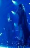 Filename=alexa-camila-3--a.jpg
Filesize=142KB
Dimensions=600x944
Date added=Sep 16, 2014 alexa-camila-3--a.jpg